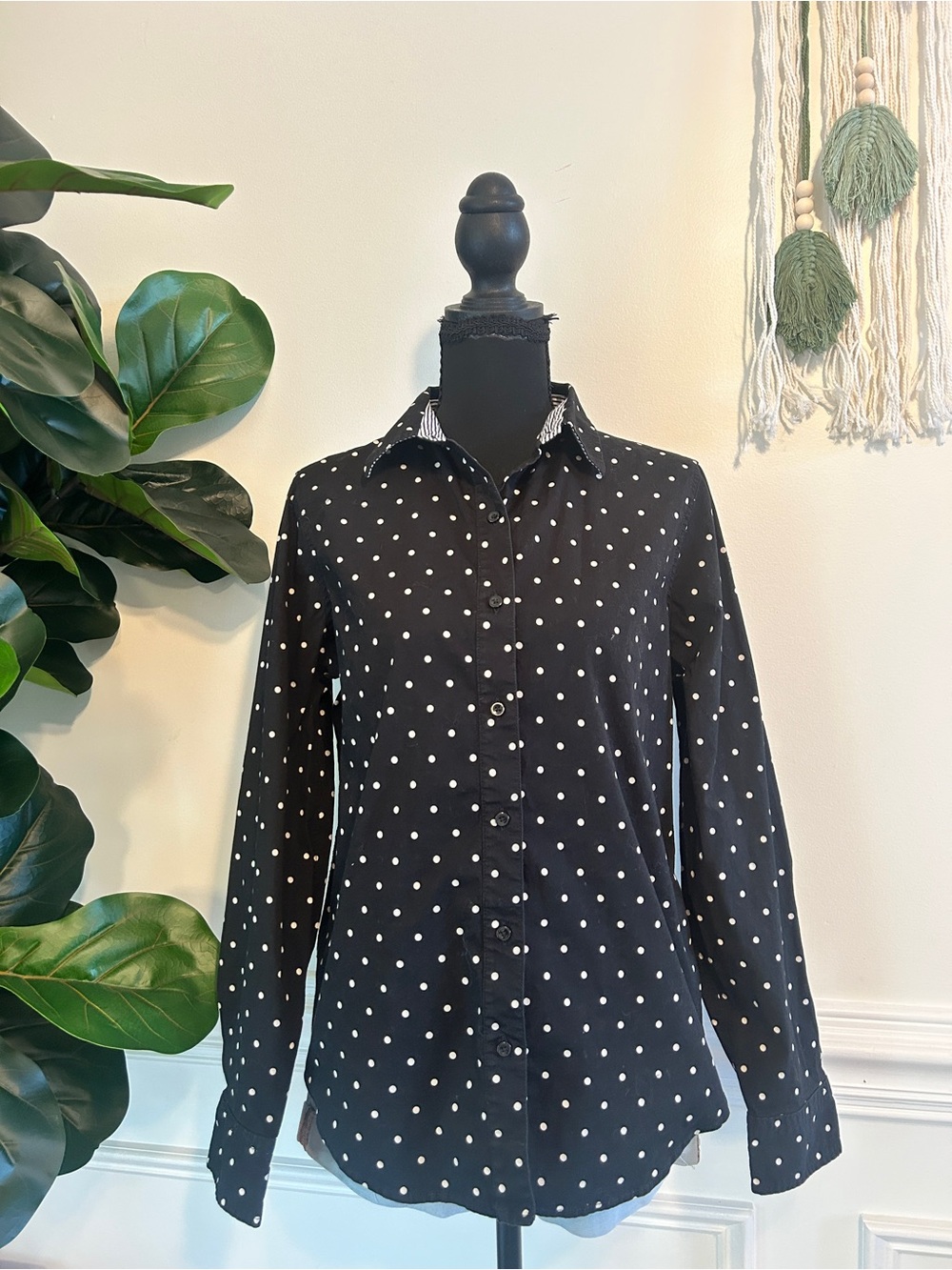 Jones New York Collection Stretch Polka Dot Button Down Shirt